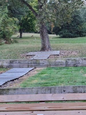 The Cabins and Cottages at Shale Lake