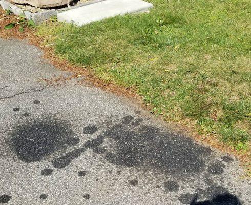 Rorshach inkblot test? Nope CJ tree service doesn't respect property and leaks oil everywhere