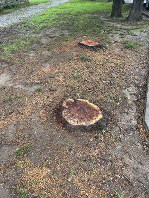 Stump removal