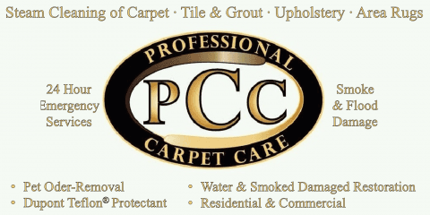 Professional Carpet Care