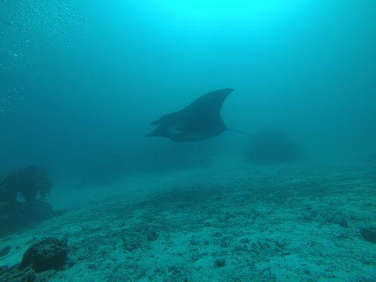 Dive trip to Raja Ampat, Indonesia