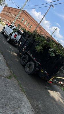 Cutting down and hauling off tree debris