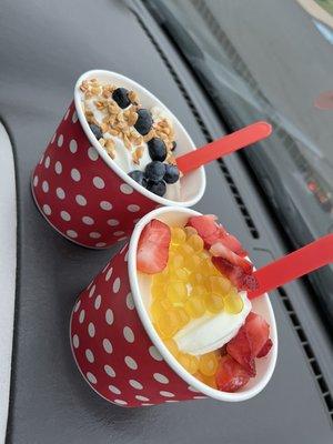 Red Berry Frozen Yogurt