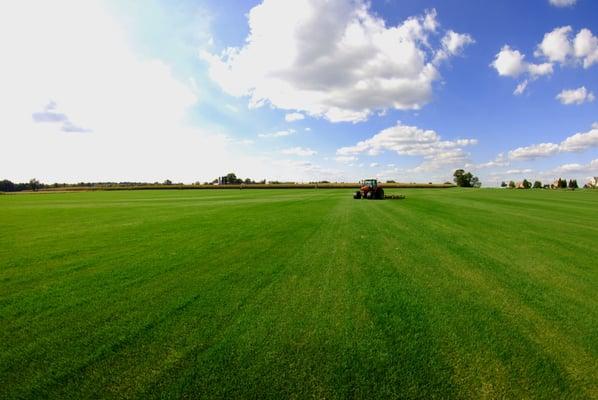 A beautiful day on the farm