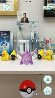 Nidorino!