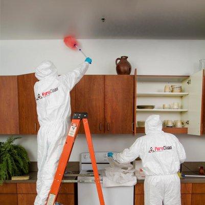 Our mold remediation professionals restore the affected area to normal conditions and then shift their attention to mold odor removal.