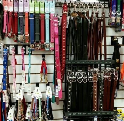 Just a sampling of our large selection of collars, leashes, and harnesses.