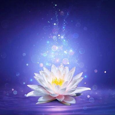 Floating Lotus Massage & Bodywork