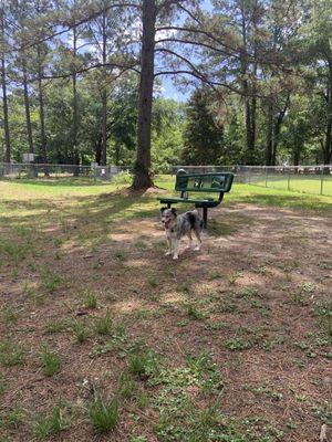 Shady area with bench