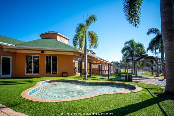 Oasis Pool

Our more shallow Pool for smaller breeds or  dogs who prefer walking through water and splashing around.