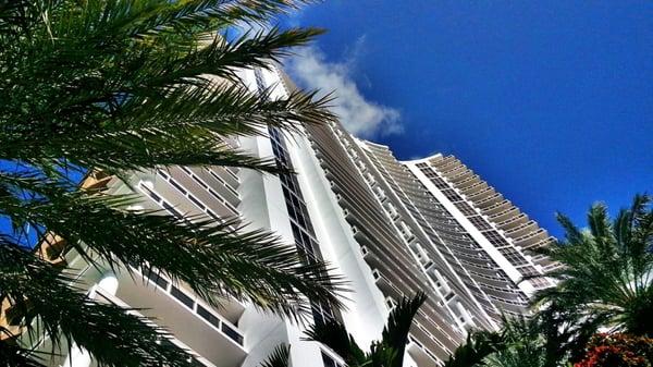 Looking up from pool deck.