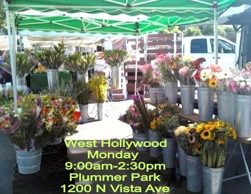 Skyline Flowers - West Hollywood Farmers Market