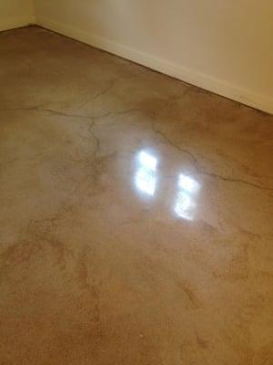 beautiful polished concrete floor Hapax