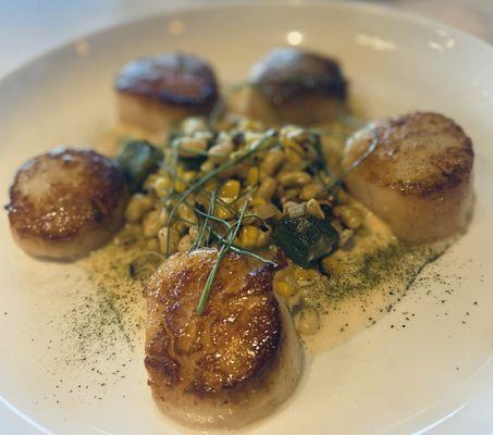 Scallops