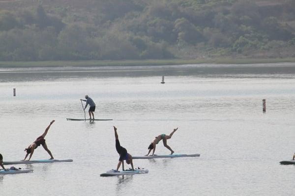 This is an unreal experience, the instructors are great, equipment first rate, on a sunny morning yoga on the water beats all