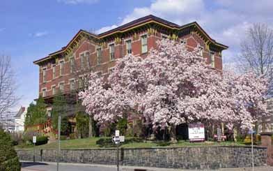 Over 150 years old, this beautiful and historic magnolia tree sits on the grounds of the original Matthew Vassar residence.