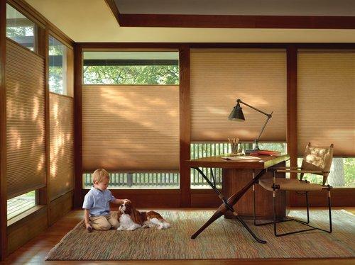 Hunter Douglas Blinds