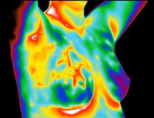 Orange County Thermography