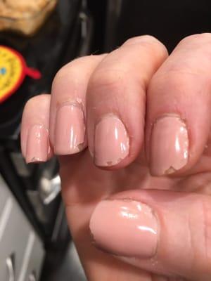 UPDATED PIC! 8 days post gel manicure. And this is after a few broke and I had to cut them in an attempt to save the length.