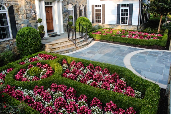 We offer maintenance of formal gardens, complete with seasonal rotation