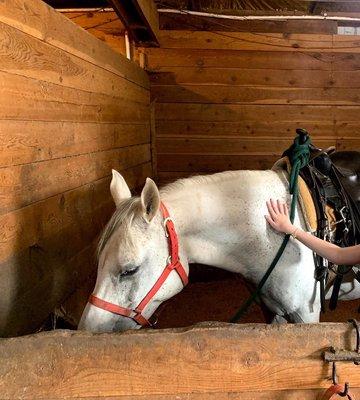 Century Farm Equestrian Center