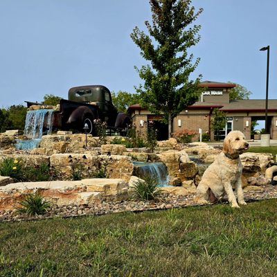 Tucker, the dog, visiting the waterfall truck at Roadrunner Express Car Wash & Oil Change