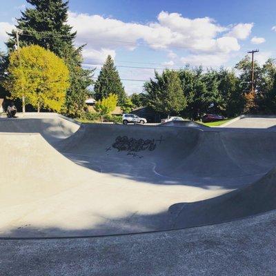 This is a picture of the big bowl and some of the street park and the spine