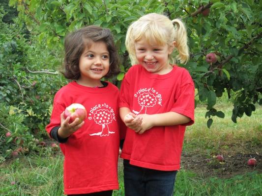 Apple Picking