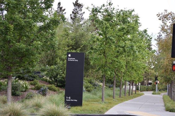 Apple Campus by Eggli Landscape Contractors