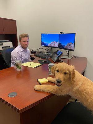 Harvey! Our office mascot.