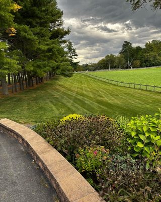 Tee Time Landscape & Lawn Care