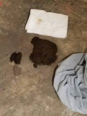 This pile of poo was reported four days ago.