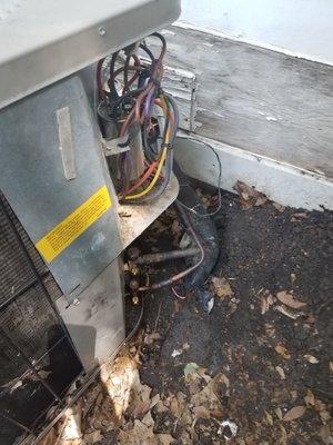 Blue Zone Heating and Air came out 7/9 and immediately found all oil/freon leaked out on the ground. These are pics of AC United "repairs"