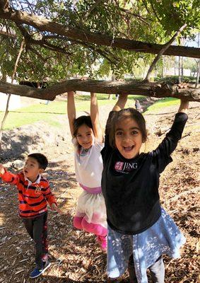 Summer Camps at JING include daily Nature Walks - the highlight of every kids' day.