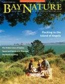 Bay Nature magazine