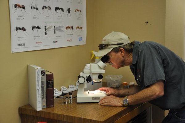 Tom Rasberry, became a world renowned integrated pest management expert spearheading the research on the invasive species of ...