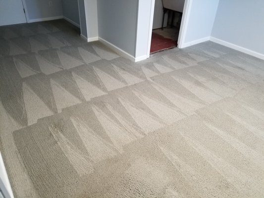 Aquapure Carpet Care