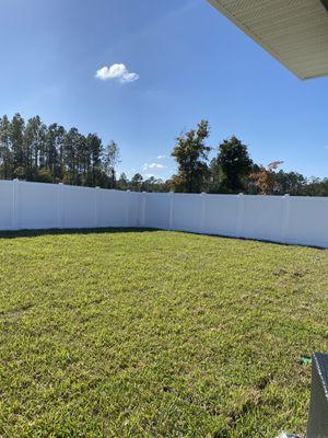 Back yard and side gate