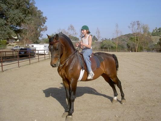 Weber Training Stables