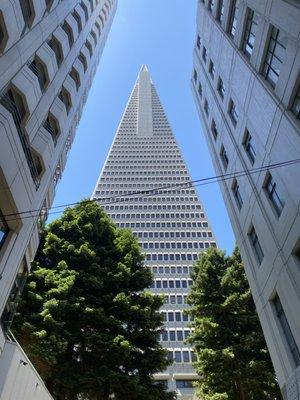 Tour ends at the Transamerica Redwood Park