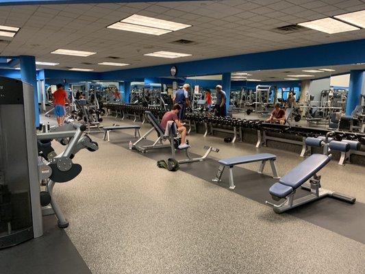 Free weights area first floor. 2 squat racks and dumbbells up to 100 lbs.