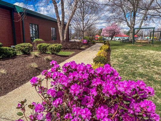 Spring at the NE YMCA