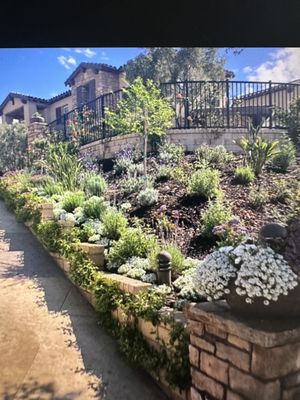 New hillside landscape