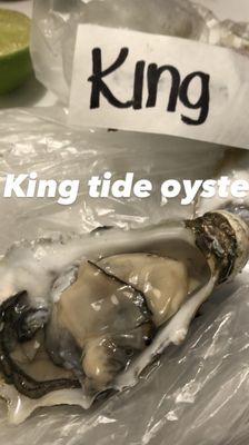 The king tide oyster