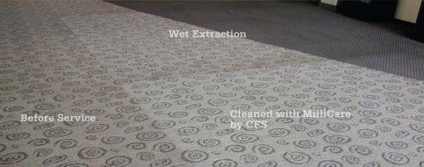 Carpet Care Extraction - Before & After