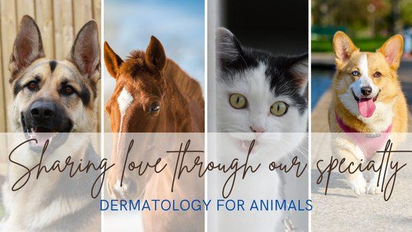 Dermatology for Animals - San Diego