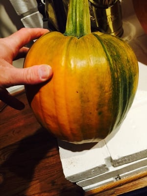 The largest pumpkin we could find