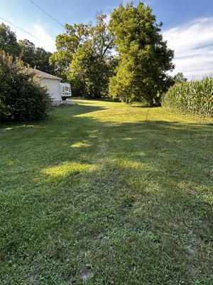 One of the lawns I have mowed