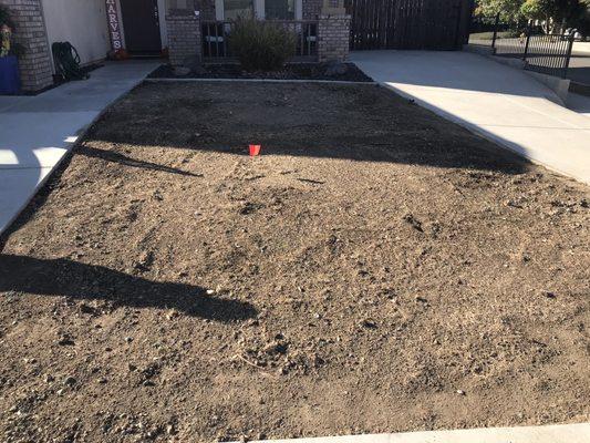 Front yard grass removal.