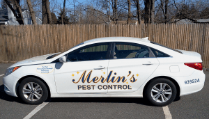 Pest Inspection Car